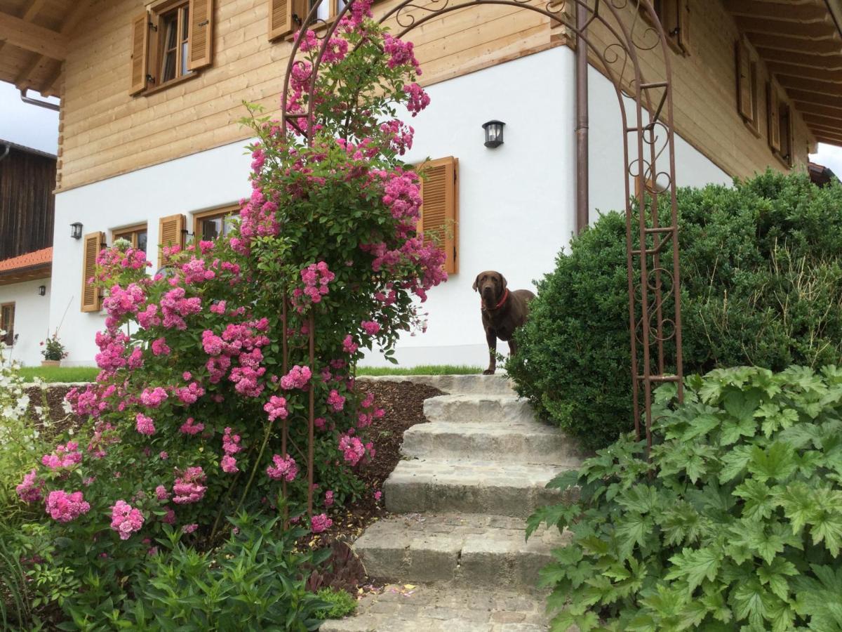 Ferienwohnung Am Dreiseithof 豪岑堡 外观 照片